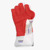 DSC Intense Attitude Wicket Keeping Gloves (Mens/Boys/Youth)